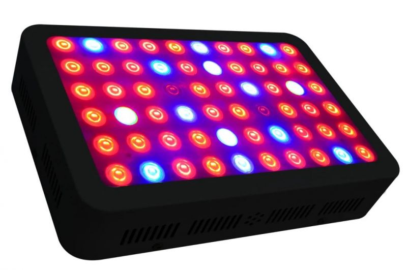Horticulture Full Spectrum 300W Quantum Board LED Grow Light for Medical Plants