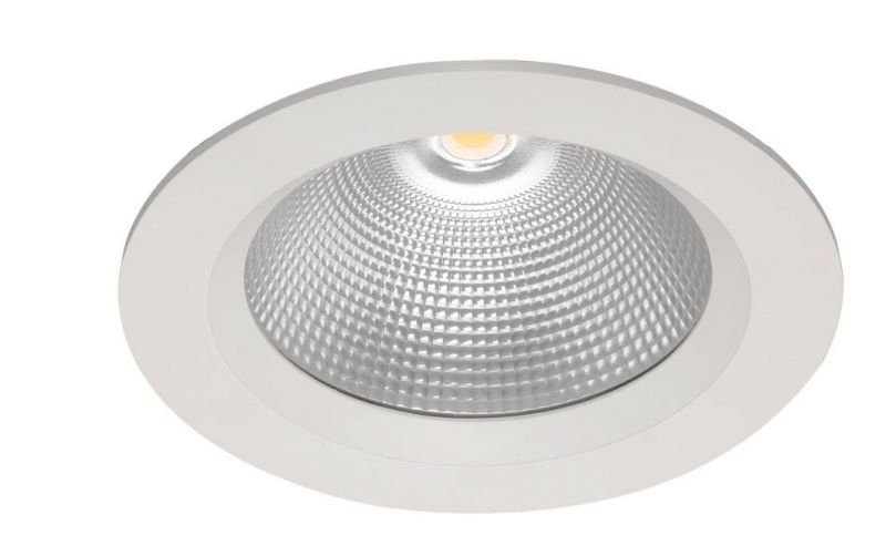 High Lumen High Power Hotel Project LED 100W Bulb Recessed COB Spotlight Down Light