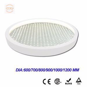 Ce RoHS Approved LED Panel Light Dia600 LED Panel Round LED Ceiling Light 48W