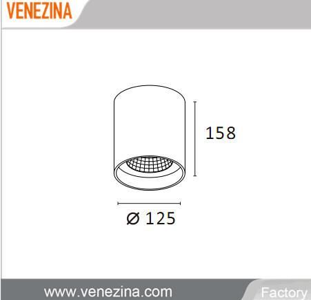 High Power 20W COB LED Ceiling Lamp Surface Mounted LED Light