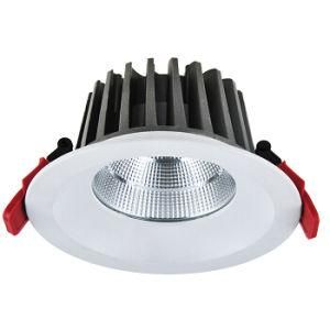 4&prime; 12W Ceiling Lamp