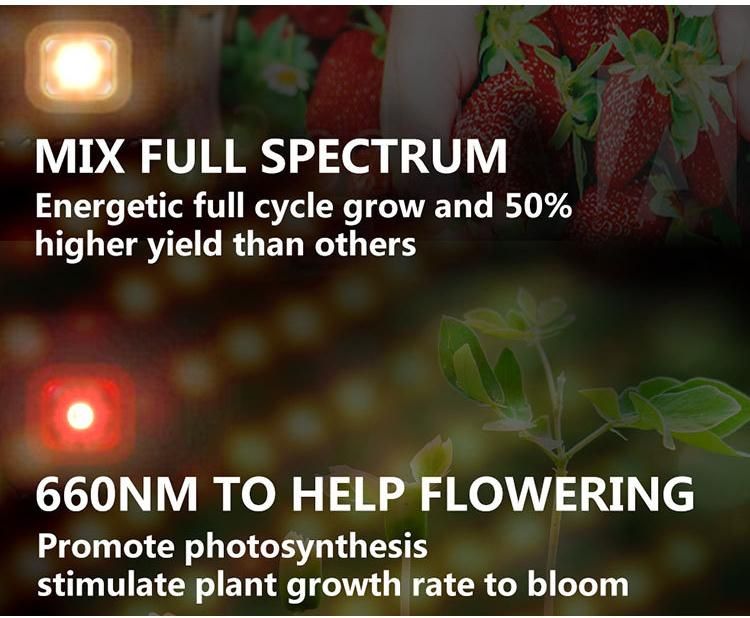 2021 Quantum Panel LED Grow Light Dimmable