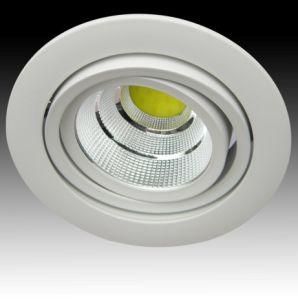 2014 New Rotatable LED Downlight, 360 Degree Adjustable LED Down Light, Recessed LED Downlight, LED Interior Lighting (Js-D1019d-Jy 10W