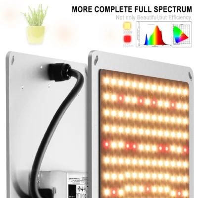 Quantum Panel LED Grow Light LED Grow Light Dimmable for Indoor Plants Full Spectrum