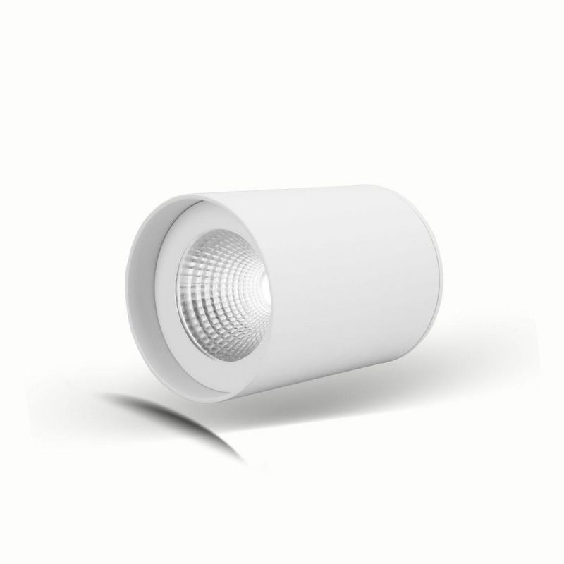 IP65 6W/10W Surface Mounted LED Downlight Round Down Light
