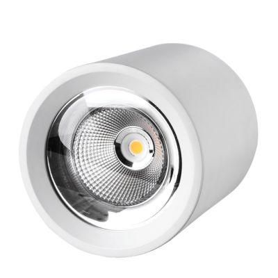 Residential High Power Dimmable 40W LED Downlight Surface Mounted Cylinder 20W 30W Ceiling Spot Light Lamp