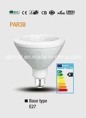 PAR38 LED Bulb