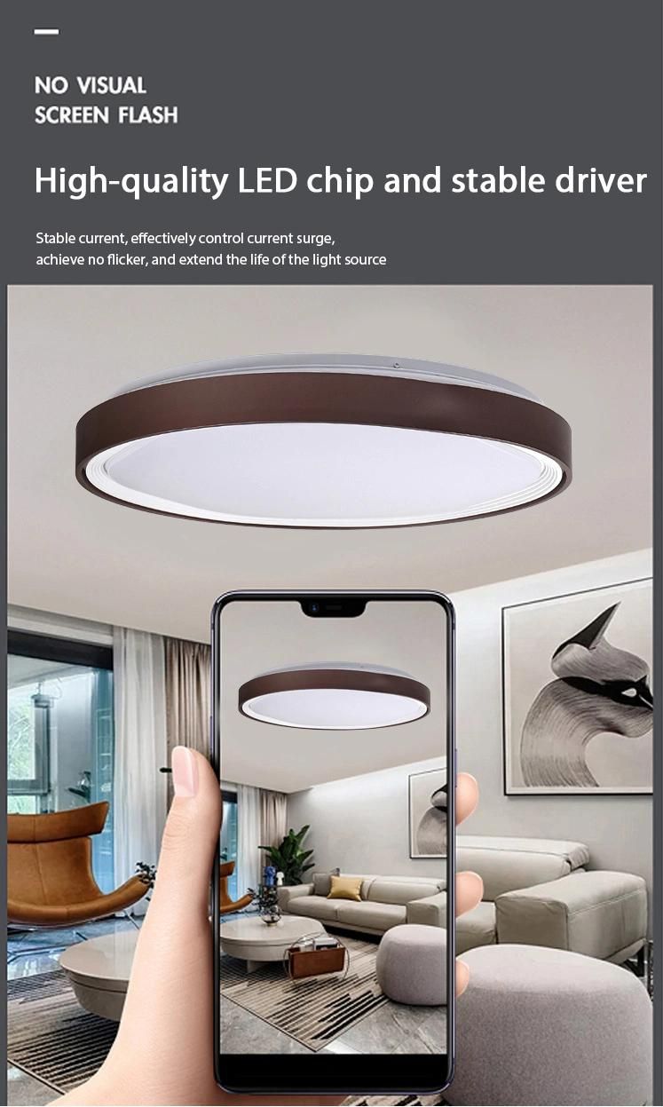 2021 Acrylic Tuya LED Ceiling Lamp Motion Metal Ceiling Lights