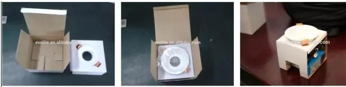 OEM Customized LED COB Downlight, COB LED Downlight
