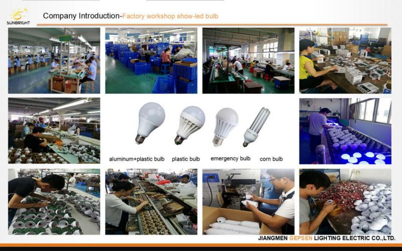 High Quality Aluminum 3W COB High Power LED Surface Downlight