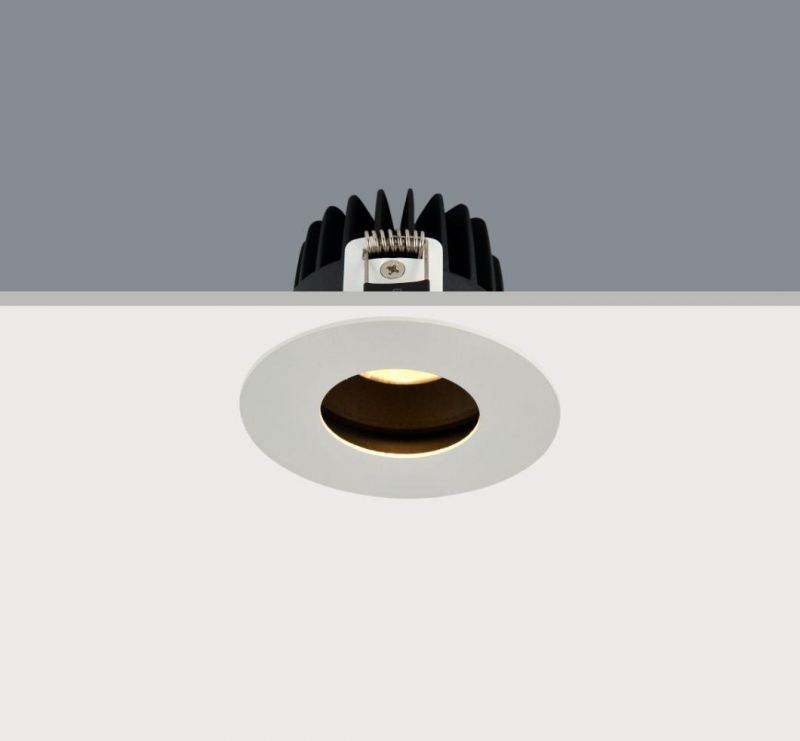 Round-Hole Recessed Hot-Selling 6-Frame Professional COB LED Spotlight