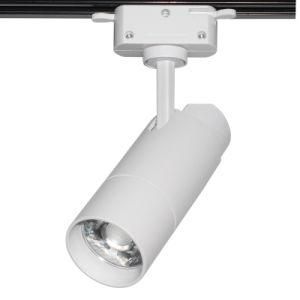 Black or White Housing 15W 30W COB LED Track Spot Light for Stores, Supermarket, Restaurant, Museum etc