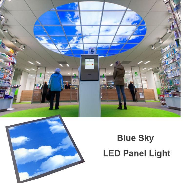Blue Sky LED Ceiling Surface Light Panel