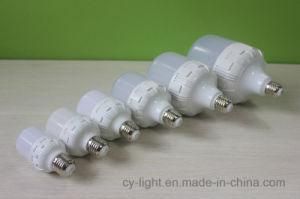 China Manufacturer New OEM 40W LED Bulb T Series with Bird Cage Shape