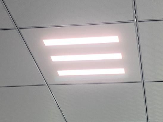 Diffuse Refelection 30X120 40W 36W LED Panel Light for Ceiling Office with CE, CB