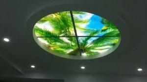 Mood Panel Light Ce RoHS LED Flat Panel Light 600*600 Scene Panel Light