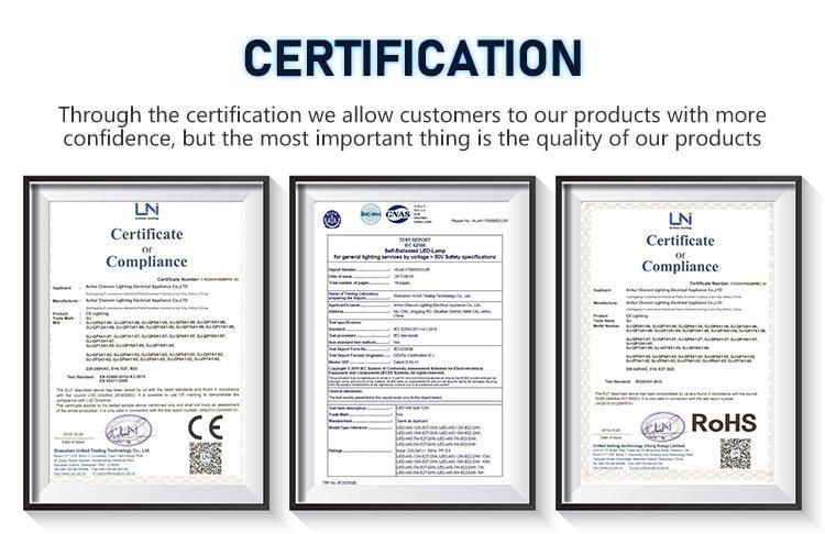 New Design Energy Saving LED Downlight From China Leading Supplier