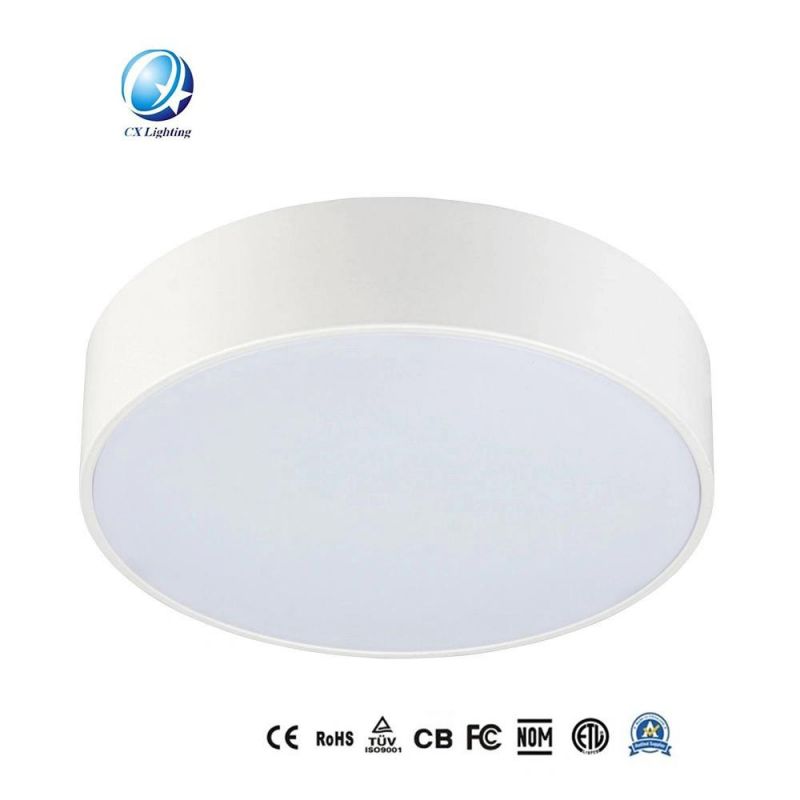 Series Rimless LED Surface Mounted Down Light