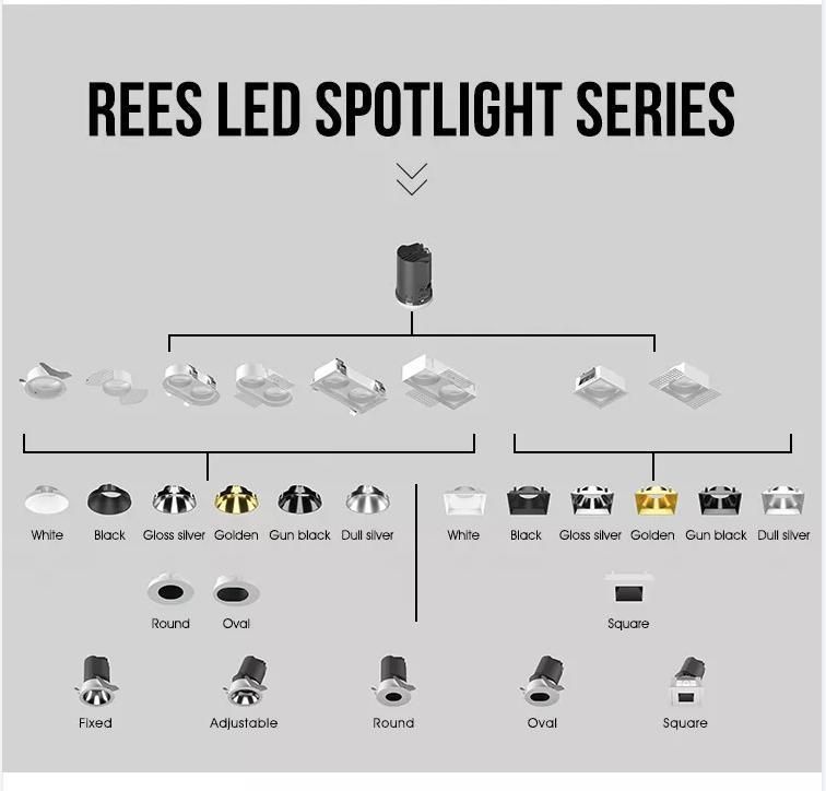 Multi-Shape and Multi-Style Can Be Selected COB LED Down Light