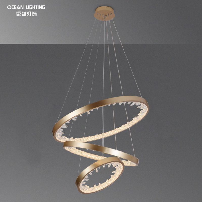 Pendant Light Chandelier Decoration Pendant Lamp LED Pendant Light