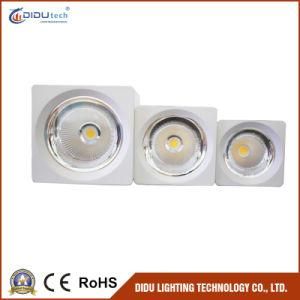 High Lumen Epistar COB Downlight -30W