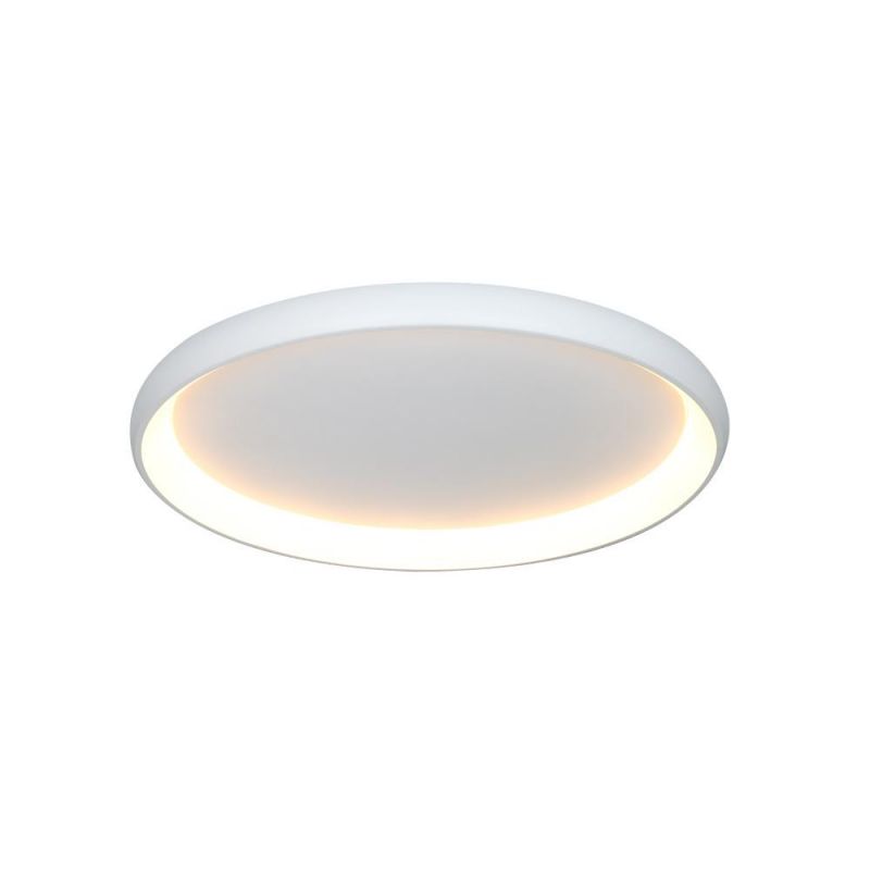 Masivel Factory Indoor Decorative LED Ceiling Light Modern Round Acrylic Cover Brass Ceiling Light with CE RoHS