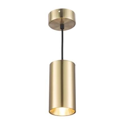 Modern Style Golden Pendant Lamp for Hotel Canteen Shop 3 Years Warranty