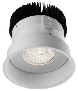 10W IP54 Citizen COB LED Down Light (R3B0199)