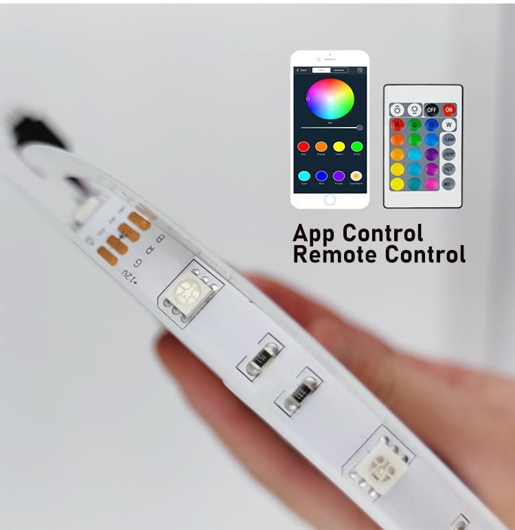 Voice Control Economical and Practical RGB 5050 5V LED Strip Lights