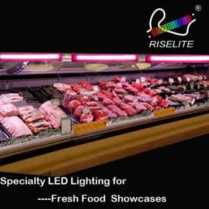 LED Lighting for Fresh Food Showcases