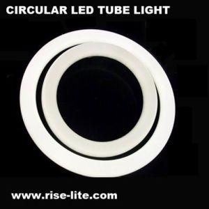 Circular LED Tube Light
