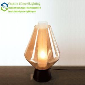 Indoor Home Lighting a Table Lamp Gt-5055-1b
