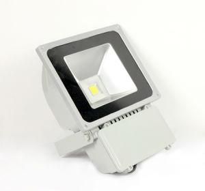 50W LED Projection Light (YCLED-TGP050-002)