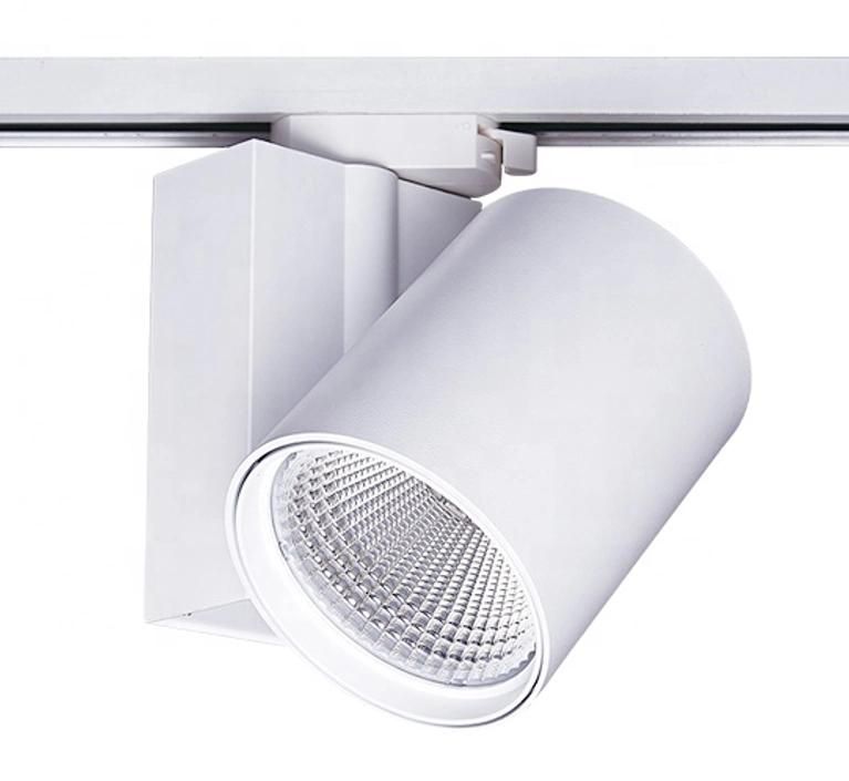 Downlight LED 12 Watt and Adjustable Beam Angle Light with LED Recessed Downlight