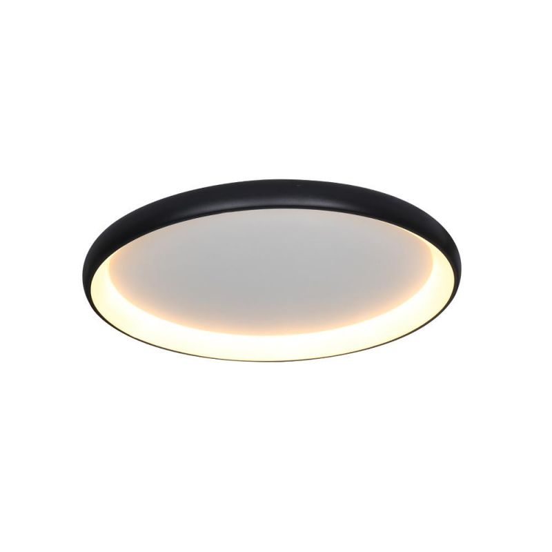 Masivel Factory Indoor Decorative LED Ceiling Light Modern Round Acrylic Cover Brass Ceiling Light with CE RoHS