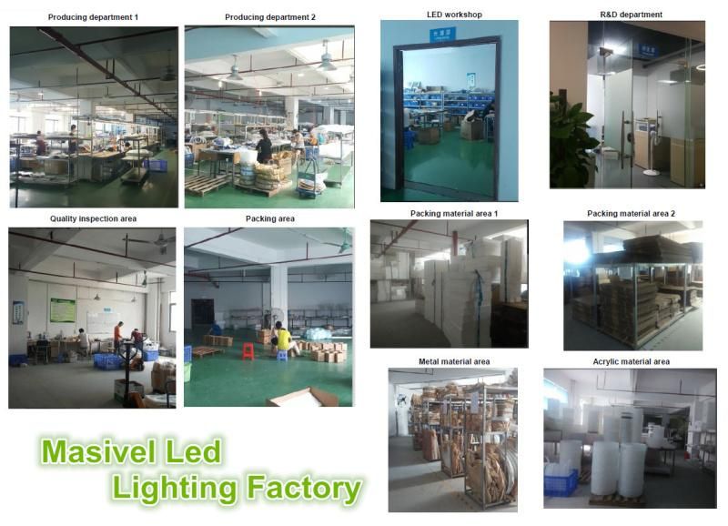 Masivel LED Lighting Hotel Lobby Indoor Metal Ceiling Light