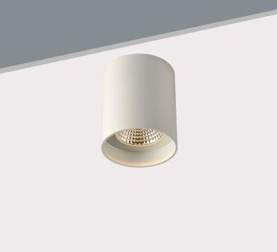 Cylinder Professional Chinese Manufacturer Produced Surface-Mounted LED Light