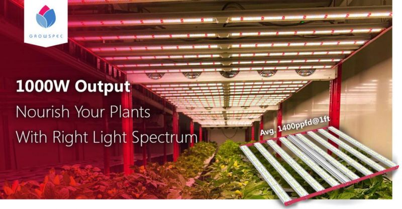 High-Quality Spider 1000 Watt Gavita PRO 1700e LED Growlight for Medical Plant
