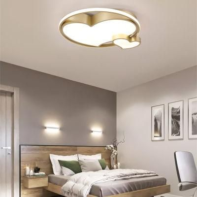 Dafangzhou 97W Light China Funky Ceiling Lights Supply Outdoor Lighting 2years Warranty Period Ceiling Lighting Applied in Bedroom
