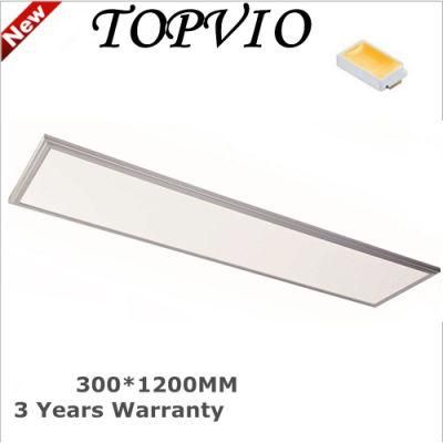 High Lumen 300X1200 40W LED Panel Light LED Ceiling Light