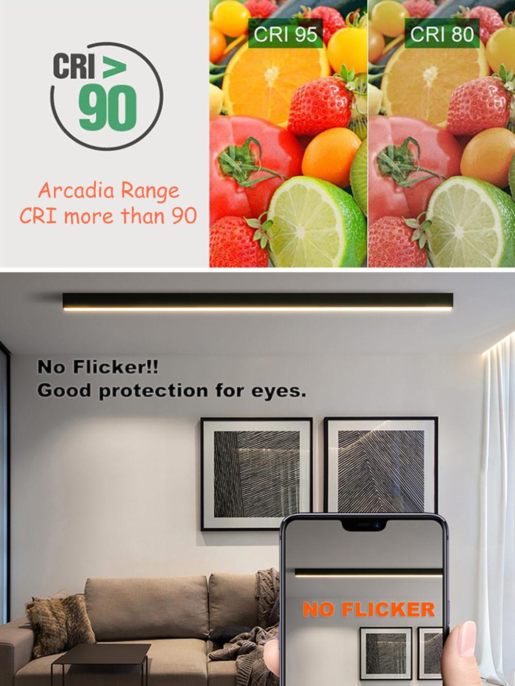 Arcadia Range Double Lens Linear Light