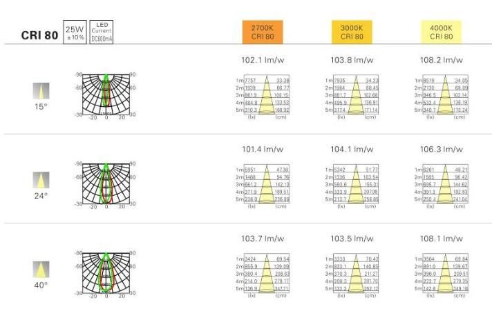 3 Years Guarantee Ce Hot Sale 40W LED Downlight, Spotlight Dilin