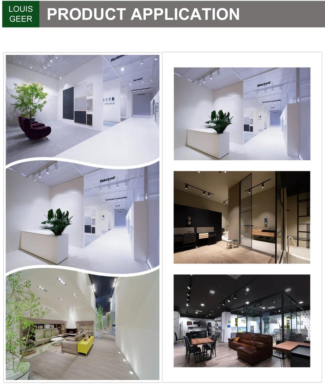 5W 7W 9W 12W 15W 18W 20W Fast Track Rail Spotlights Narrow Beam LED Linear Track Light with 2 Pin