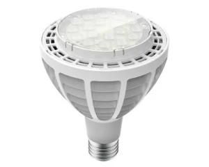 New Pl Lamp PAR30x 30W (IF-PL60027)