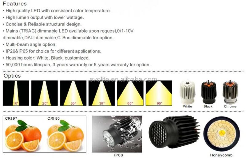 LED Module Down Light MR16 Bean 10/20/30/38/55degree LED Spot Light