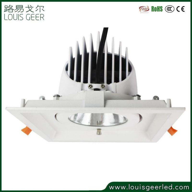 Modern Commercial Professional LED Outdoor Spotlight Ce RoHS LED Spot Light