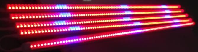 LED Grow Lighting 1.5m 13W T5 Linear Tube Batten Light