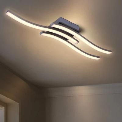 Popular Modern Decor Ceiling Mounted Light LED Ceiling Lights for Home