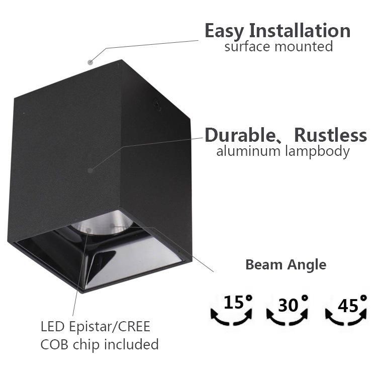 Hotsale COB LED Square Adjustable Black Indoor Surfacer Mounted Square 12W LED Downlight