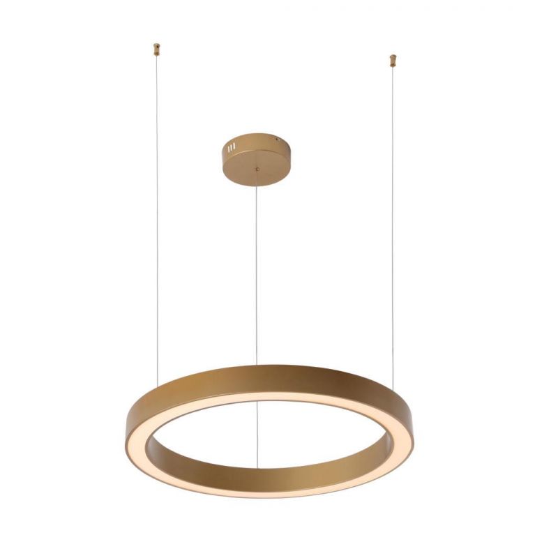 Masivel Lighting Modern LED Decorative Pendant Light Indoor Home LED Chandelier Light